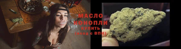 индика Армянск