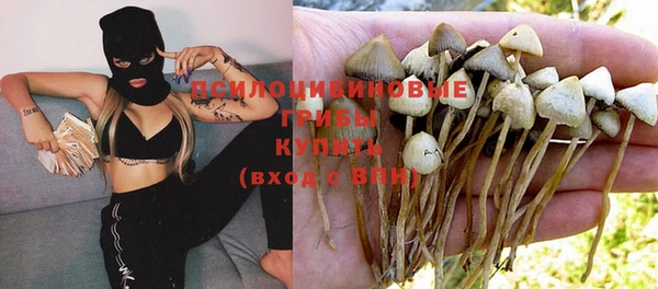 метадон Арсеньев