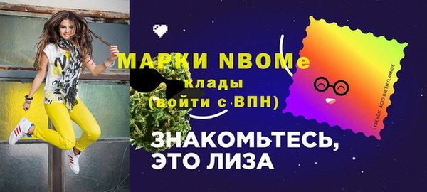 индика Армянск